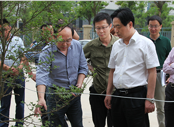 M88-M88体育(中国集团)官方网站