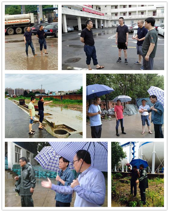 M88-M88体育(中国集团)官方网站