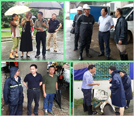 M88-M88体育(中国集团)官方网站