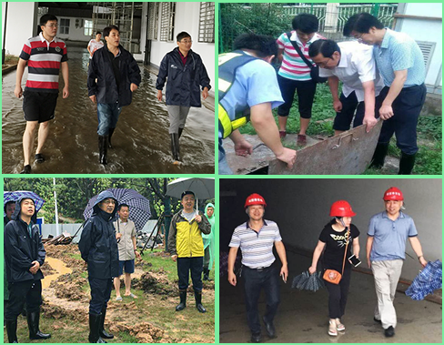 M88-M88体育(中国集团)官方网站