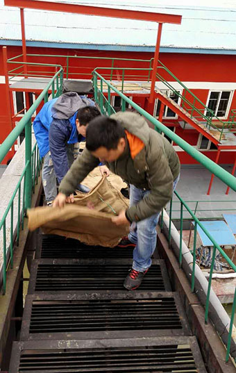 M88-M88体育(中国集团)官方网站