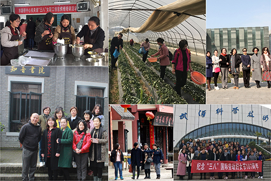 M88-M88体育(中国集团)官方网站