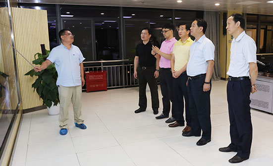 M88-M88体育(中国集团)官方网站