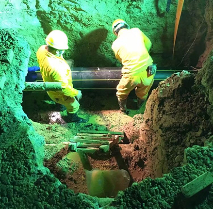 M88-M88体育(中国集团)官方网站