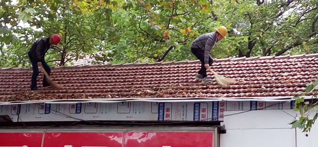 M88-M88体育(中国集团)官方网站