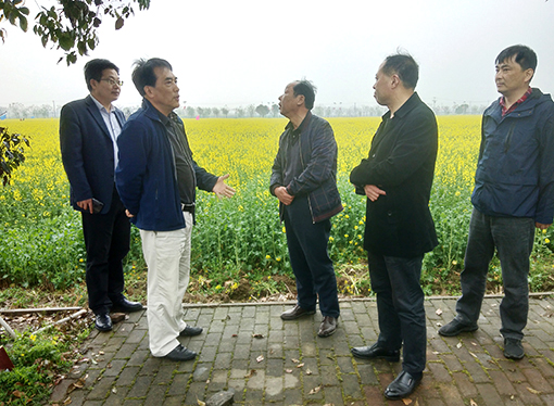 M88-M88体育(中国集团)官方网站