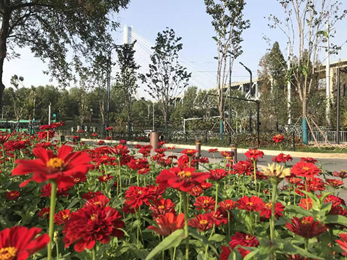 M88-M88体育(中国集团)官方网站